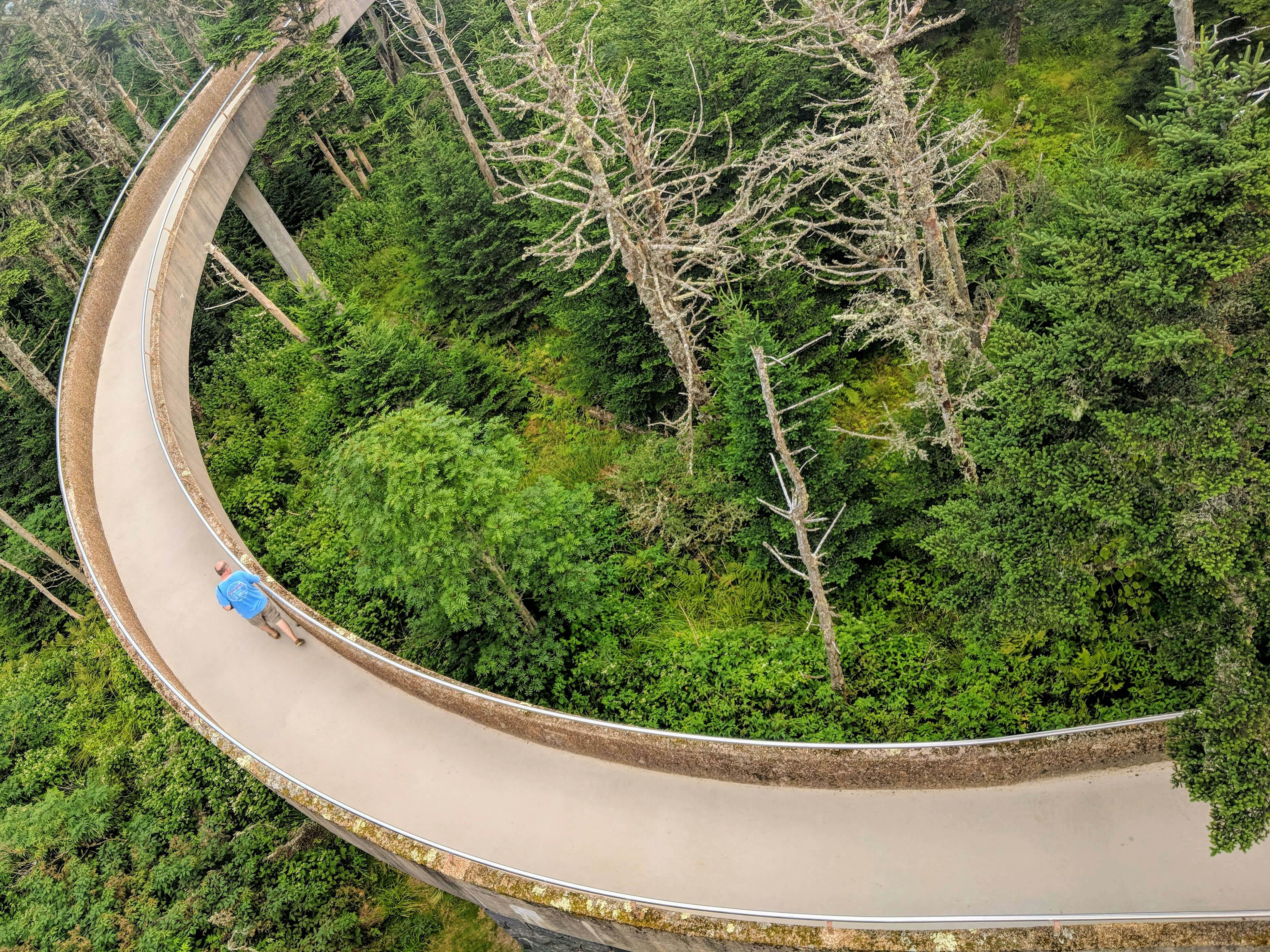 High Angle View Of Road Amidst Trees In Forest - stock photo
Photo taken in Gatlinburg, United States